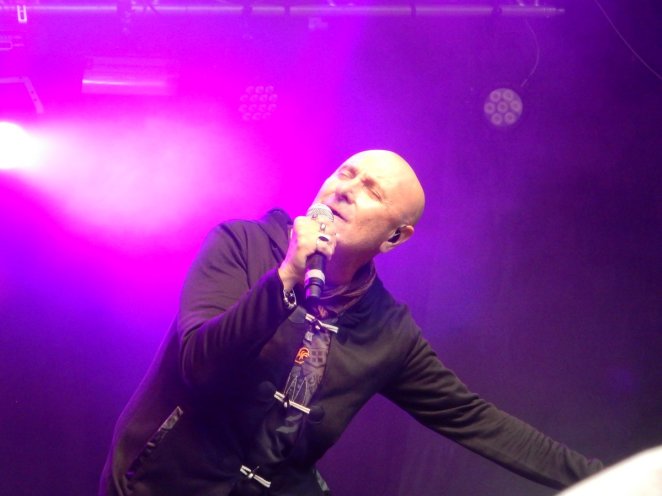 Francofolies de Spa 2015 - Lundi - La fête à Mario Guccio (131)