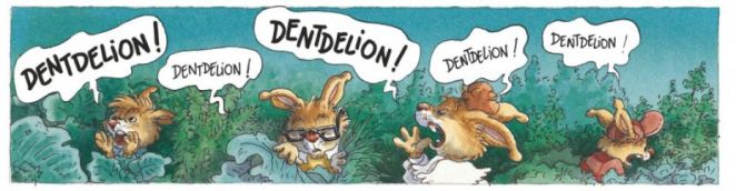 Famille Passiflore - Mélodie Potagère - Plessix - Jouannigot - Dentdelion