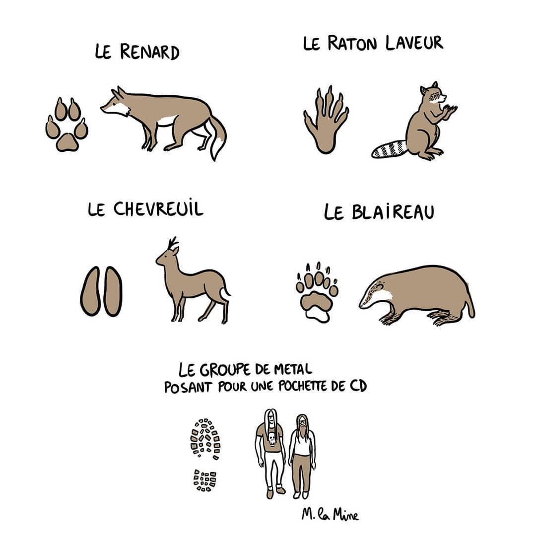 La Mine Encyclopedie Non Exhaustive Des Savoirs Approximatifs Pataques Humour Pensee Empreintes Groupe De Metal Branches Culture