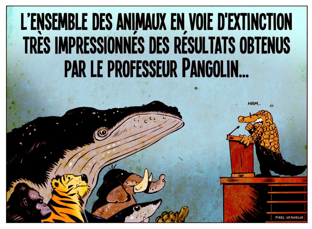 https://branchesculture.com/wp-content/uploads/2020/03/Les-aventures-du-docteur-Pangolin-Pixel-Vengeur-3-animaux-en-voie-de-disparition-1024x751.jpg